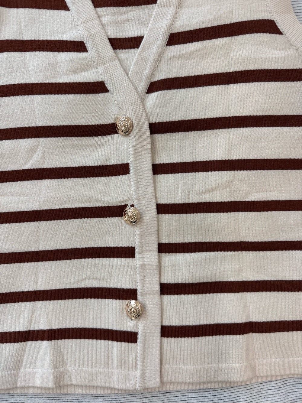 Sleeveless Beige and Brown Striped Button-Front Knit Vest - Picture 2 of 4
